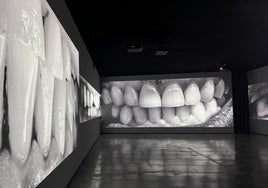 Santiago Sierra, entre cuatro paredes, en el Museo de Helga