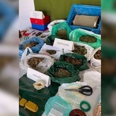 La Guardia Civil desarticula en Villarrubia de los Ojos un grupo criminal dedicado al cultivo y tráfico de drogas
