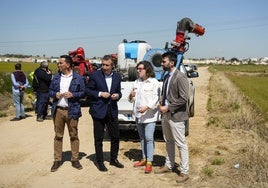 La Diputación expande su plan contra el virus del Nilo para abarcar la peregrinación al Rocío