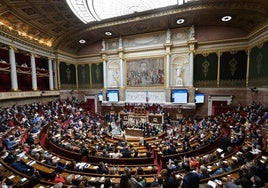 La Asamblea Nacional francesa aprueba la creación de una ley de eutanasia