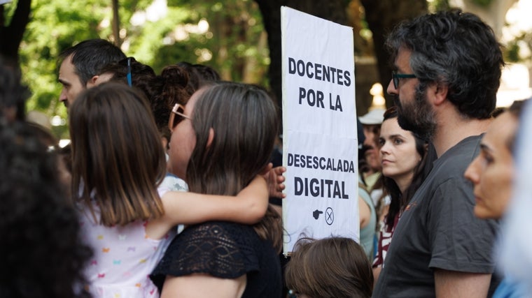 Además de familias, a las concentraciones han acudido grupos de profesores